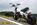Martini Racing